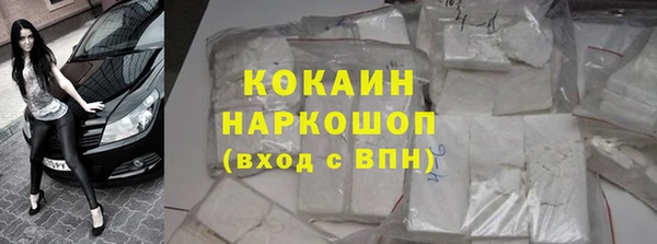 прущие грибы Балахна