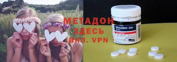 прущие грибы Балахна