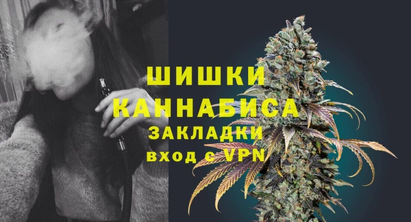 прущие грибы Балахна