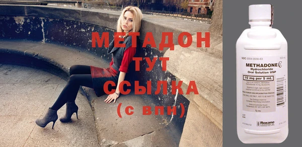 прущие грибы Балахна
