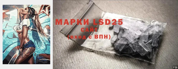 прущие грибы Балахна