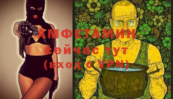 прущие грибы Балахна
